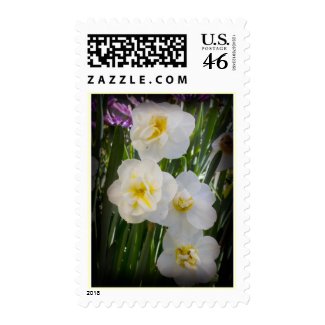 Daffodils Stamp
