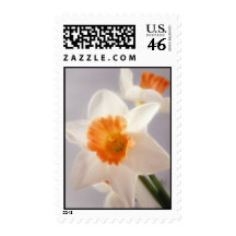 Daffodils Stamps