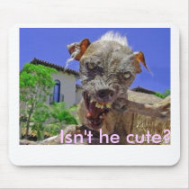 daggggggg, Isn't he cute? mousepads by kirill2525 daggggggg, Isn't he cute? mousepads