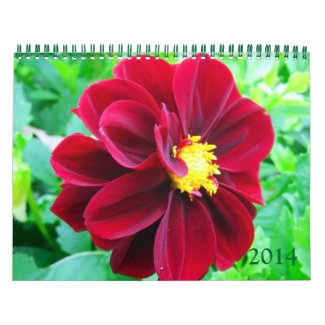 Dahlia 2014 Calendar