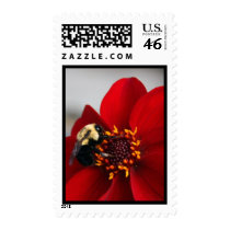 Dahlia and Bee postage by SilenasImages Dahlia and Bee postage