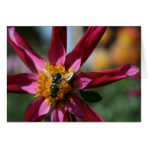Dahlia & Bee Blank Card