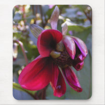 Dahlia Bud 19 ~ mousepad