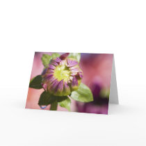 Dahlia bud greeting card