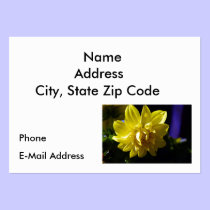 Dahlia business cards