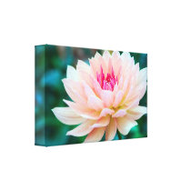 Dahlia