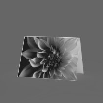 Dahlia cards