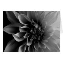 Dahlia Card