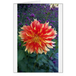Dahlia Card
