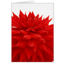 Dahlia. Card by cARTerART