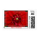 Dahlia Christmas Postage