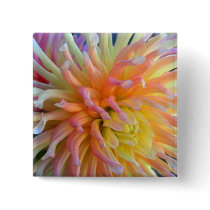 Dahlia Close Buttons