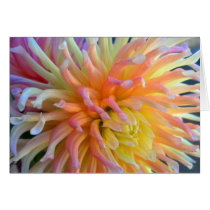 Dahlia Close Cards
