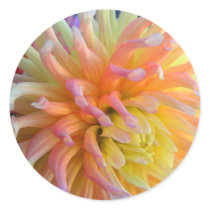 Dahlia Close Stickers