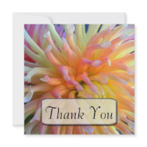 Dahlia Close Thank You Cards Custom Announcements