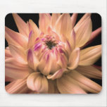 Dahlia Corona 2 Mouse Pads