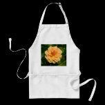 Dahlia 'David Howard' aprons