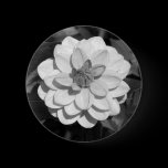 Dahlia 'David Howard' B&W buttons