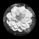 Dahlia 'David Howard' B&W magnets