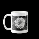 Dahlia 'David Howard' B&W mugs