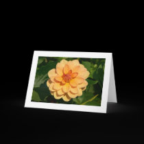 Dahlia 'David Howard' (bordered) cards