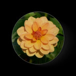 Dahlia 'David Howard' buttons