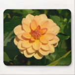 Dahlia 'David Howard' mousepads