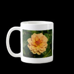 Dahlia 'David Howard' mugs