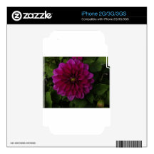 Dahlia deep magenta skins for the iPhone 2G