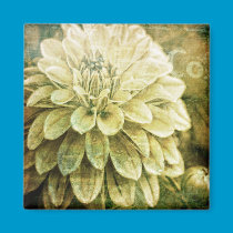 Dahlia Dew 2 magnets
