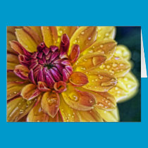 Dahlia Dew cards