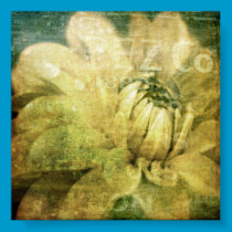 Dahlia Dew with grunge texture posters