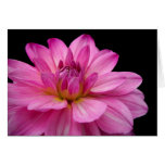 Dahlia Figurine Greeting Card