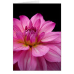 Dahlia Figurine Greeting Card