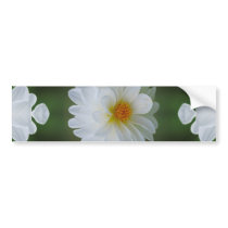Dahlia flower and meaning bumper stickers