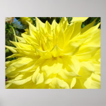 Dahlia Flower art prints framed gifts canvas art