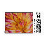 dahlia - flower painting stamp
