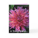 Dahlia Friendship Card