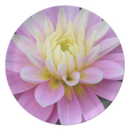 Dahlia Gratitude Plate