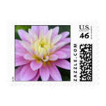Dahlia Gratitude Postage