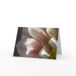 Dahlia greeting card