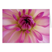 Dahlia Greeting Card