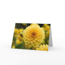 Dahlia Greeting Card | Grusskarte Dahlie
