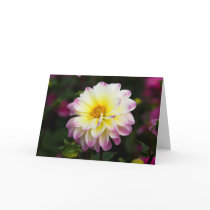 Dahlia Greeting Card | Grusskarte Dahlie
