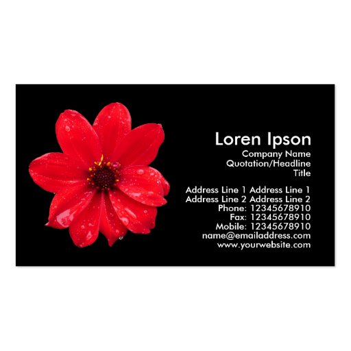 Dahlia in the Rain - Black Business Card Templates (front side)