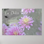 Dahlia La Dolce Vita Poster posters