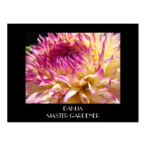 DAHLIA MASTER GARDENER Art Framed Prints Gifts by Basleeartprintgifts DAHLIA MASTER GARDENER Art Framed Prints Gifts