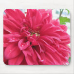 dahlia mousepads