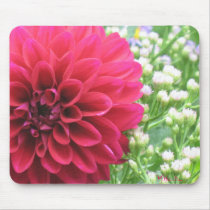Dahlia mousepads