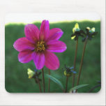 Dahlia Mousepad mousepads